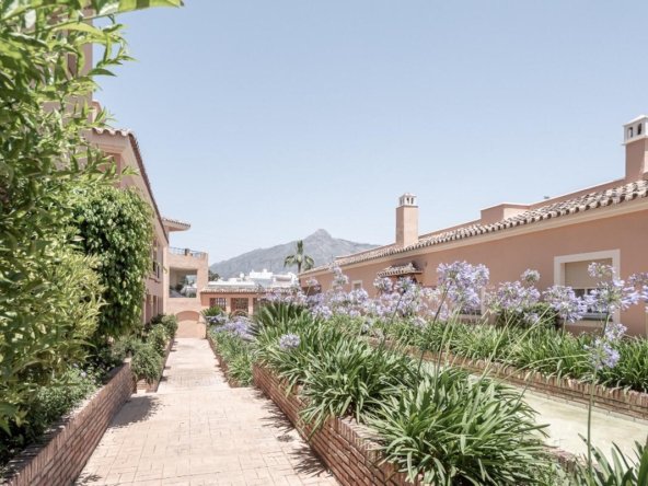 WhatsApp Image 2021-08-13 at 21.24.00