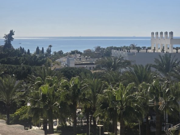 WhatsApp Image 2026-02-20 at 12.51.21