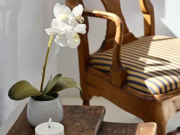 WhatsApp Image 2026-03-24 at 13.47.34