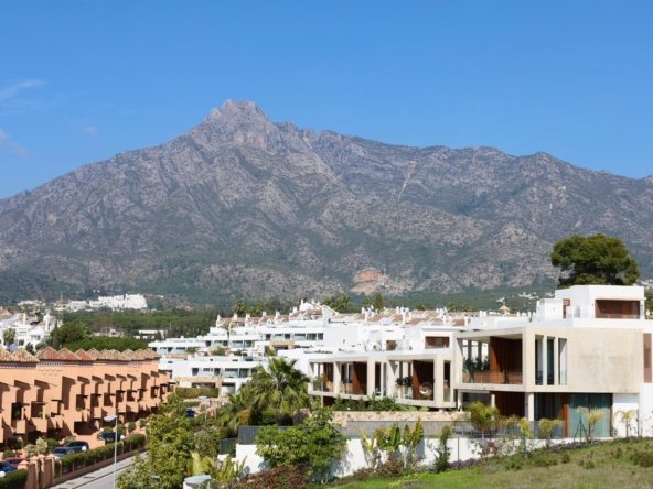 WhatsApp Image 2026-03-24 at 13.47.35 (3)