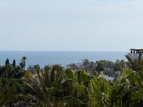 WhatsApp Image 2026-03-24 at 13.47.37 (1)